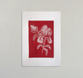 Red wildflower 1