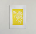 Yellow wildflower 2