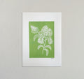 Green wildflower 3